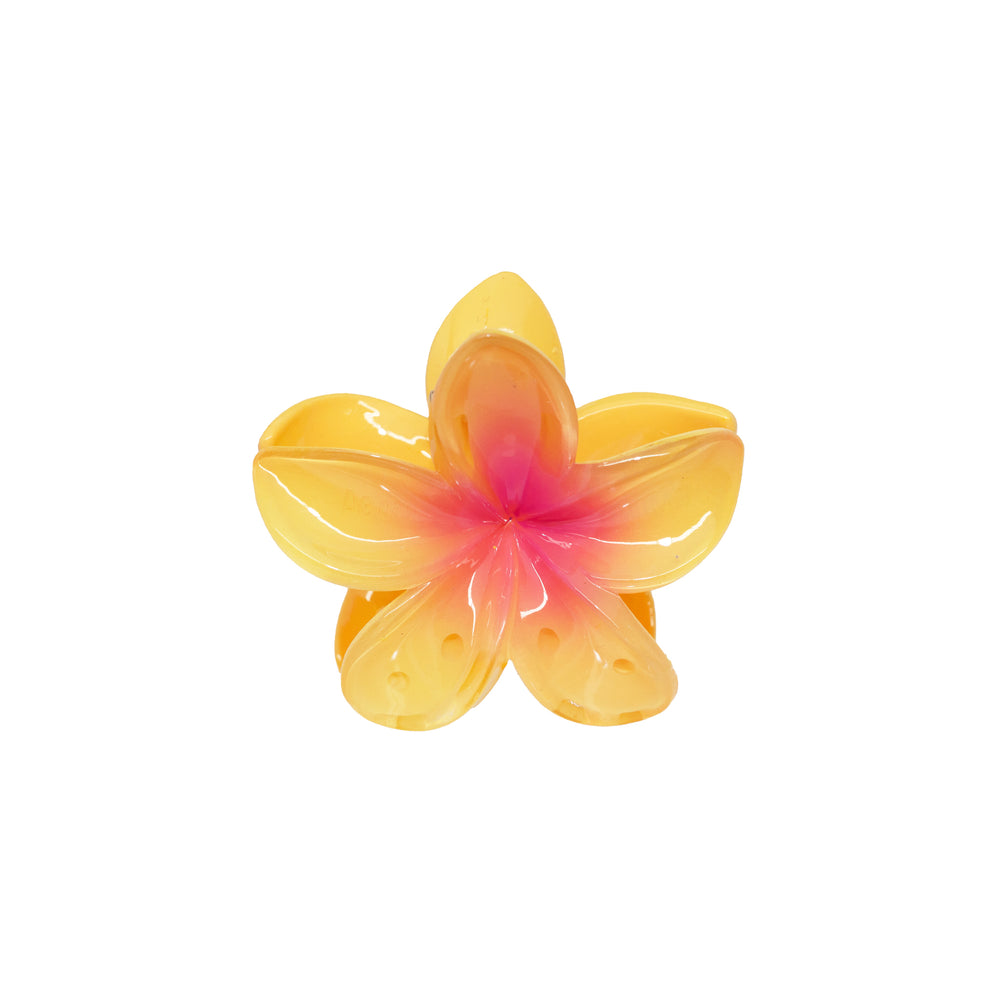 MidiSuperBloomClipinStarfruitfront