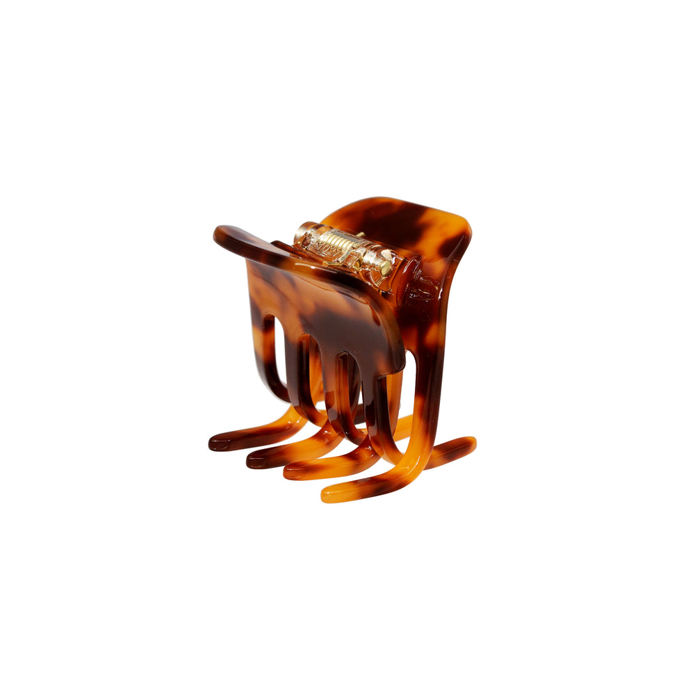 petiteclipintortoise
